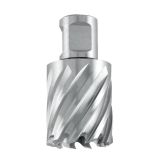 Abra krunasto glodalo HSS-G 22mm