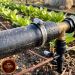 Pužna šelna INOX 10-16